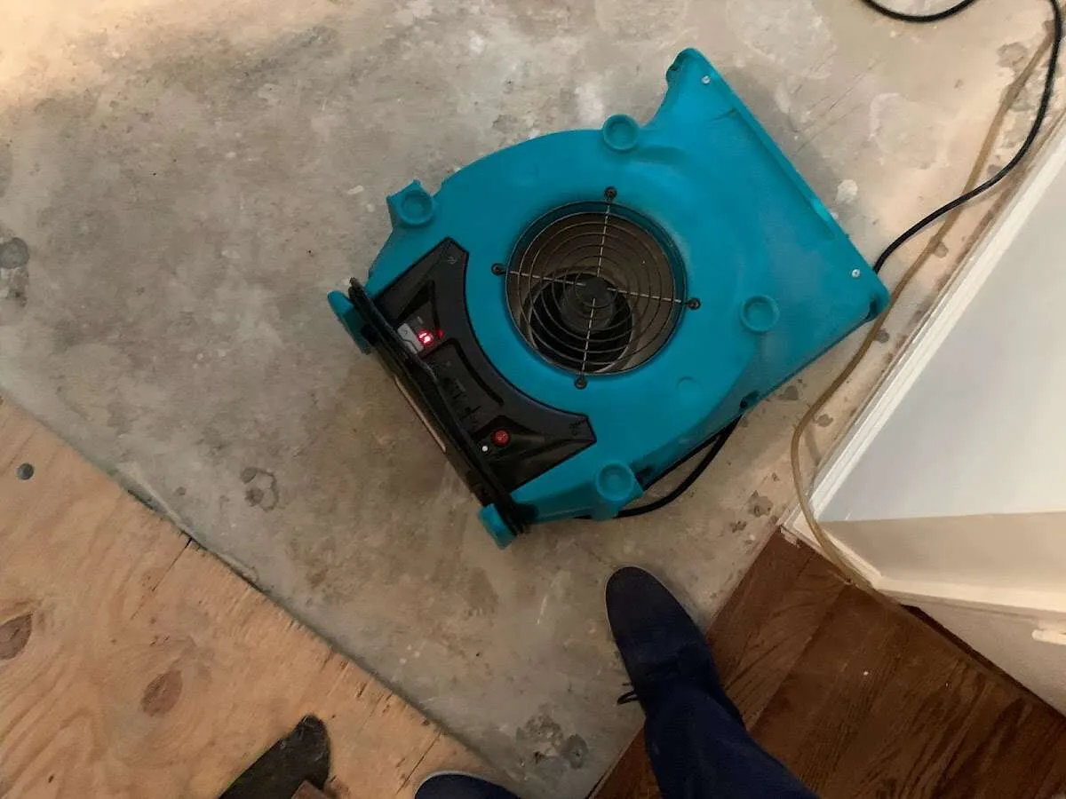 Air mover drying subfloor during Commercial Water Damage Restoration in Buenaventura Lakes